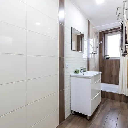 Apartament Center Vip *